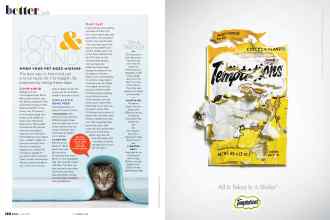 Better Homes & Gardens June 2020 Magazine Article: Page 118