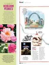 Better Homes & Gardens July 2020 Magazine Article: HEIRLOOM PEONIES