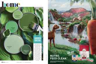 Better Homes & Gardens July 2020 Magazine Article: Page 36