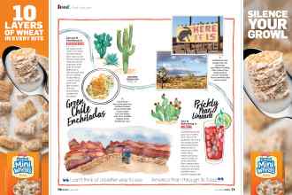 Better Homes & Gardens July 2020 Magazine Article: Page 70