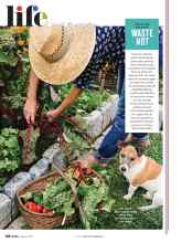 Better Homes & Gardens August 2020 Magazine Article: WASTE NOT