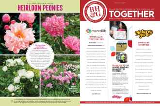 Better Homes & Gardens August 2020 Magazine Article: Page 22