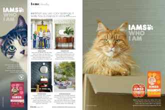 Better Homes & Gardens August 2020 Magazine Article: Page 44