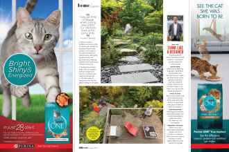 Better Homes & Gardens August 2020 Magazine Article: Page 60