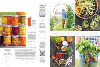 Better Homes & Gardens August 2020 Magazine Article: Page 96