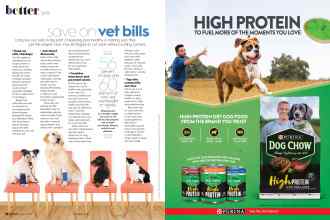 Better Homes & Gardens August 2020 Magazine Article: Page 114