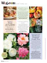 Better Homes & Gardens October 2020 Magazine Article: Pumpkin-picking tricks