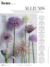 Better Homes & Gardens October 2020 Magazine Article: ALLIUMS