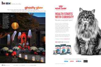 Better Homes & Gardens October 2020 Magazine Article: Page 40