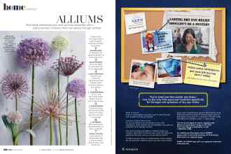 Better Homes & Gardens October 2020 Magazine Article: Page 68