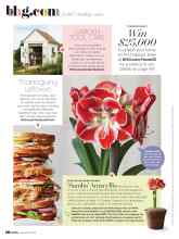 Better Homes & Gardens November 2020 Magazine Article: 'Samba' Amaryllis