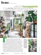 Better Homes & Gardens November 2020 Magazine Article: Wild for houseplants