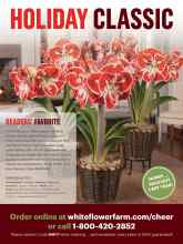 Better Homes & Gardens November 2020 Magazine Article: Page Z2