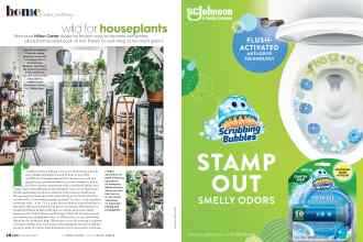 Better Homes & Gardens November 2020 Magazine Article: Page 46
