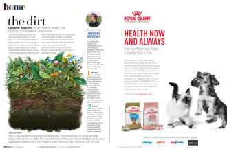 Better Homes & Gardens November 2020 Magazine Article: Page 78