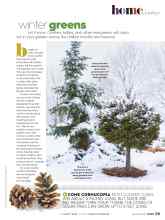 Better Homes & Gardens December 2020 Magazine Article: Winter greens