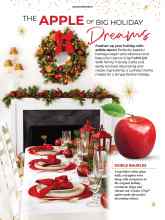 Better Homes & Gardens December 2020 Magazine Article: Page Z6