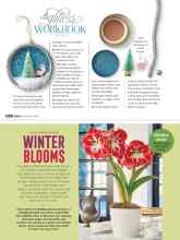 Better Homes & Gardens December 2020 Magazine Article: WINTER BLOOMS