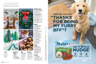 Better Homes & Gardens December 2020 Magazine Article: Page 2