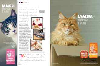 Better Homes & Gardens December 2020 Magazine Article: Page 56