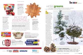 Better Homes & Gardens December 2020 Magazine Article: Page 72