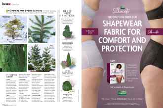 Better Homes & Gardens December 2020 Magazine Article: Page 74