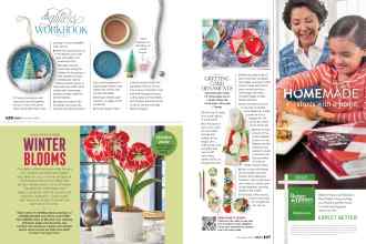 Better Homes & Gardens December 2020 Magazine Article: Page 126