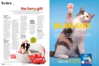 Better Homes & Gardens December 2020 Magazine Article: Page 158