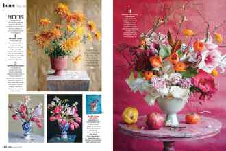 Better Homes & Gardens January 2021 Magazine Article: Page 44