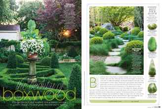 Better Homes & Gardens January 2021 Magazine Article: The beauty of boxwood