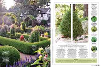 Better Homes & Gardens January 2021 Magazine Article: Page 84