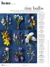 Better Homes & Gardens February 2021 Magazine Article: Tiny bulbs