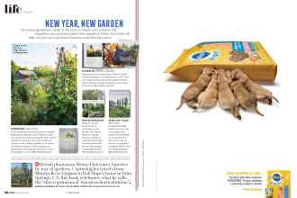 Better Homes & Gardens February 2021 Magazine Article: Page 16