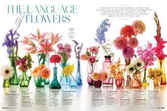 Better Homes & Gardens February 2021 Magazine Article: THE LANGUAGE of FLOWERS