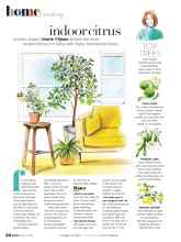 Better Homes & Gardens March 2021 Magazine Article: Indoor citrus