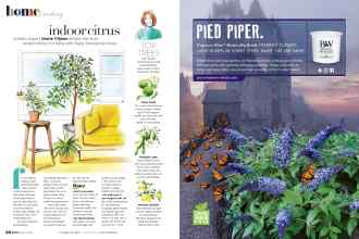 Better Homes & Gardens March 2021 Magazine Article: Page 56