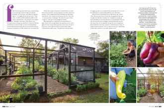 Better Homes & Gardens March 2021 Magazine Article: Page 88