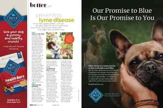 Better Homes & Gardens March 2021 Magazine Article: Page 122