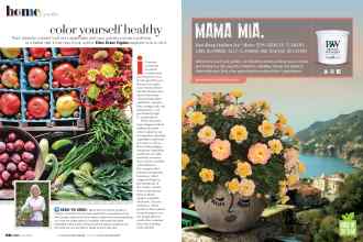 Better Homes & Gardens April 2021 Magazine Article: Page 66