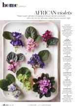 Better Homes & Gardens May 2021 Magazine Article: AFRICAN violets