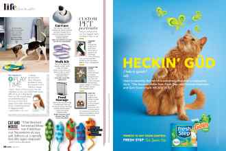 Better Homes & Gardens May 2021 Magazine Article: Page 16