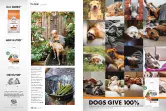 Better Homes & Gardens May 2021 Magazine Article: Page 46