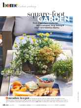 Better Homes & Gardens June 2021 Magazine Article: Square-foot GARDEN