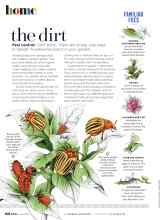 Better Homes & Gardens June 2021 Magazine Article: The Dirt