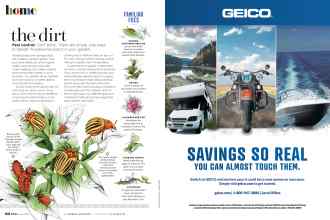 Better Homes & Gardens June 2021 Magazine Article: Page 62