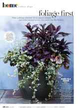 Better Homes & Gardens July 2021 Magazine Article: Foliage first