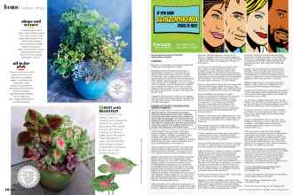 Better Homes & Gardens July 2021 Magazine Article: Page 48