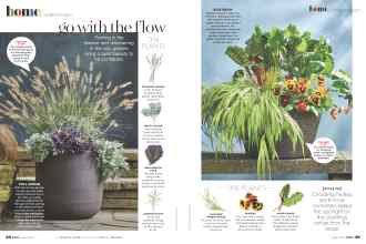 Better Homes & Gardens August 2021 Magazine Article: Page 36