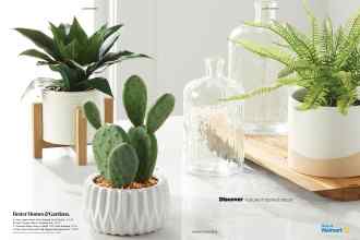 Better Homes & Gardens August 2021 Magazine Article: Page 44