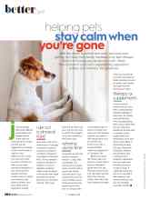 Better Homes & Gardens September 2021 Magazine Article: Helping pets stay calm when you're gone
